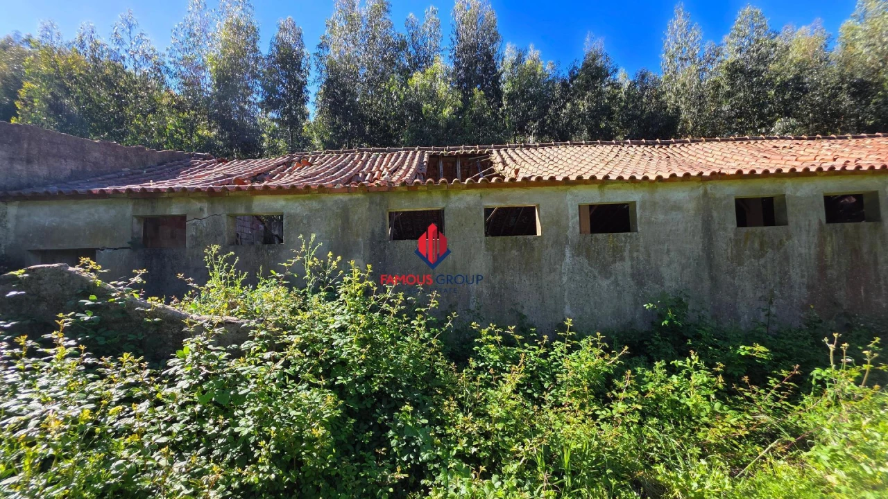Terreno Agricola ou Rústico para Venda em Marmelete Foto 34