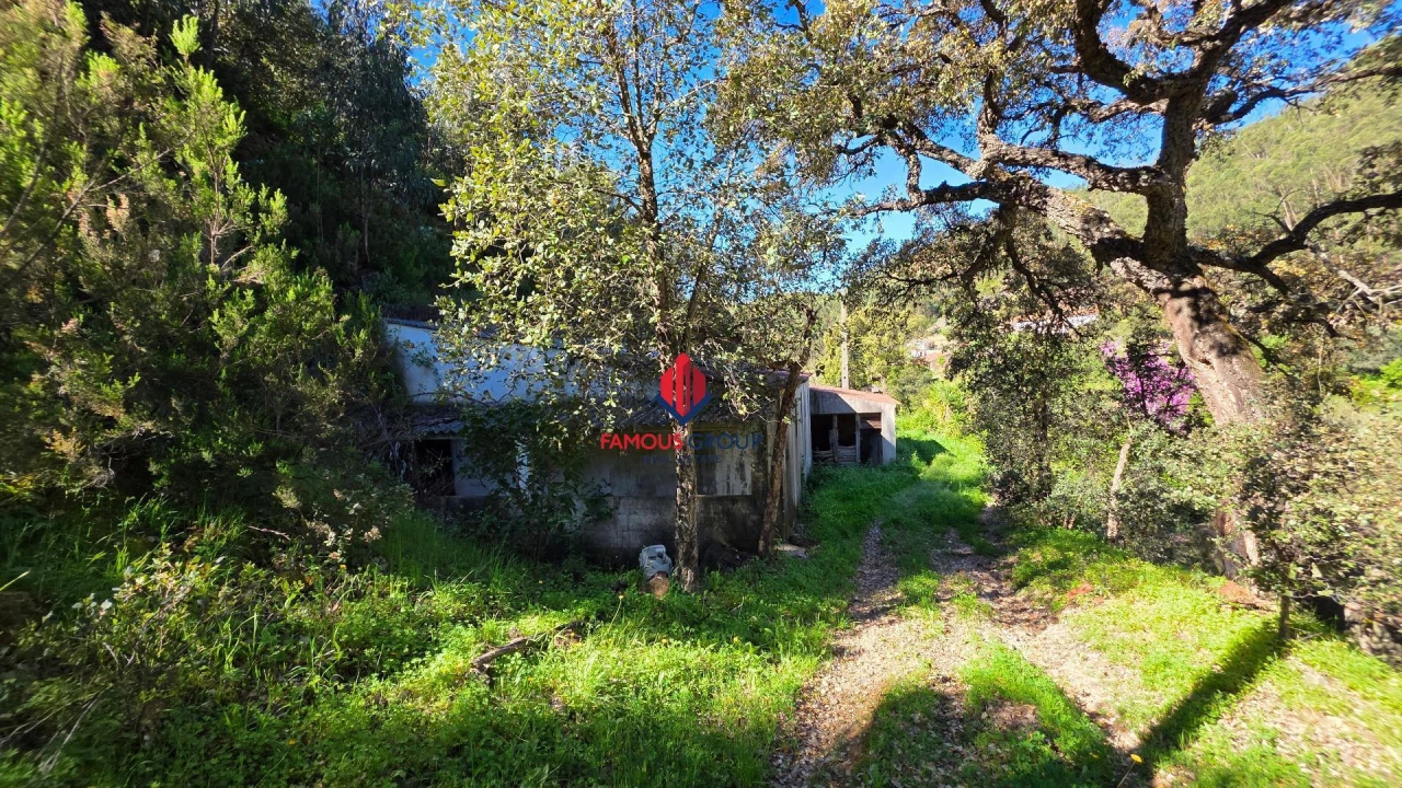 Terreno Agricola ou Rústico para Venda em Marmelete Foto 37