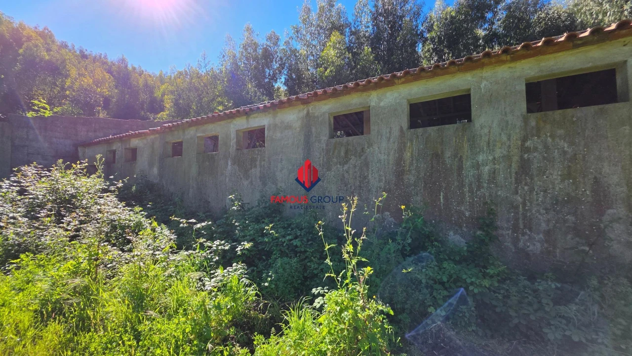 Terreno Agricola ou Rústico para Venda em Marmelete Foto 38