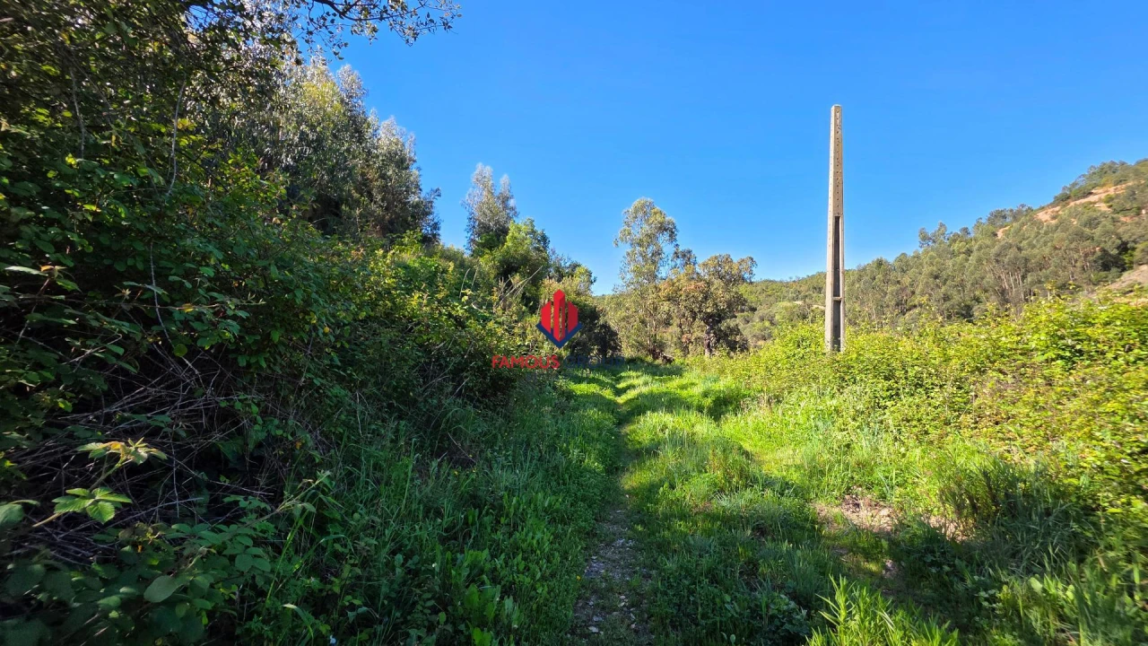 Terreno Agricola ou Rústico para Venda em Marmelete Foto 43