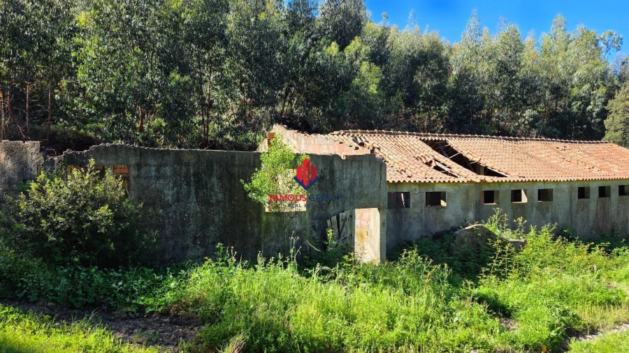Terreno Agricola ou Rústico para Venda em Marmelete Foto 22