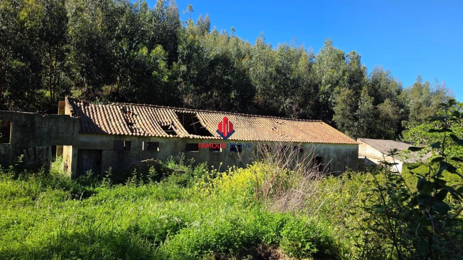 Terreno Agricola ou Rústico para Venda em Marmelete Foto 36