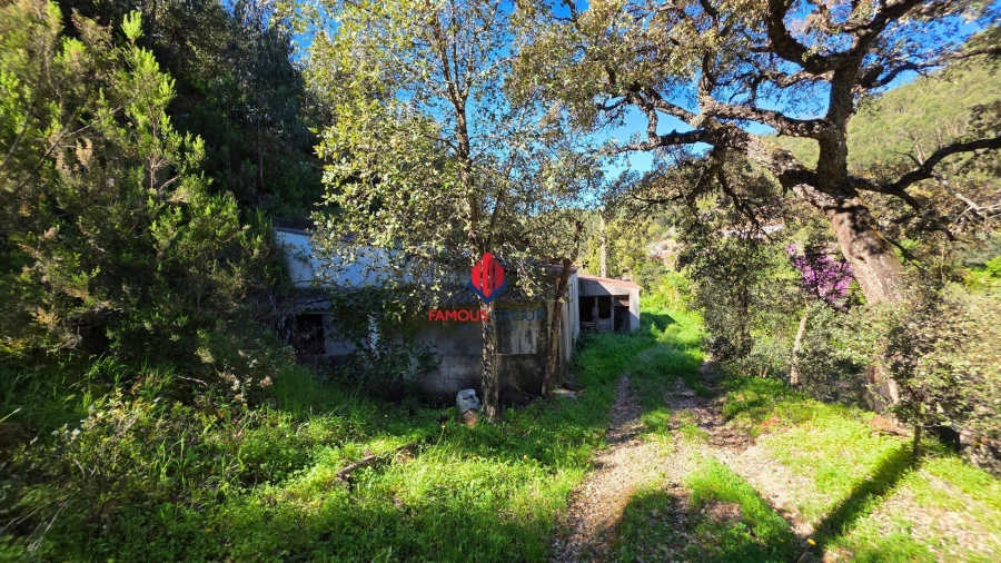 Terreno Agricola ou Rústico para Venda em Marmelete Foto 37