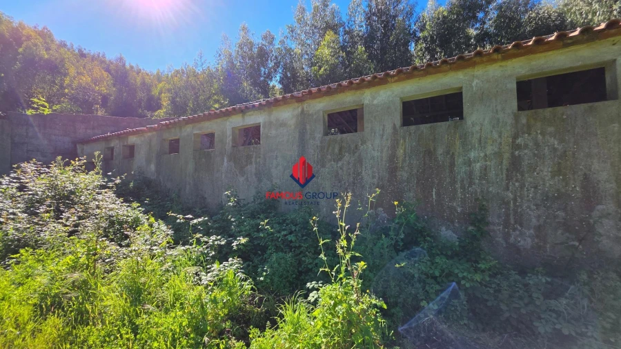 Terreno Agricola ou Rústico para Venda em Marmelete Foto 38