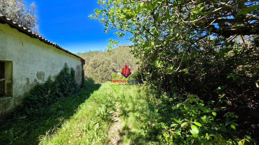 Terreno Agricola ou Rústico para Venda em Marmelete Foto 40