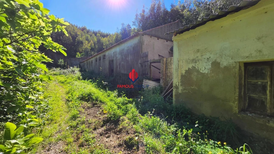 Terreno Agricola ou Rústico para Venda em Marmelete Foto 41