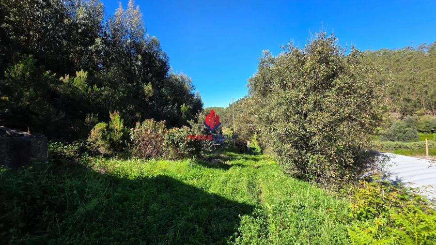 Terreno Agricola ou Rústico para Venda em Marmelete Foto 8