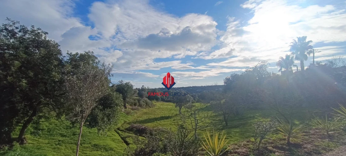 Terreno Agricola ou Rústico para Venda em Alcantarilha e Pêra Foto 3