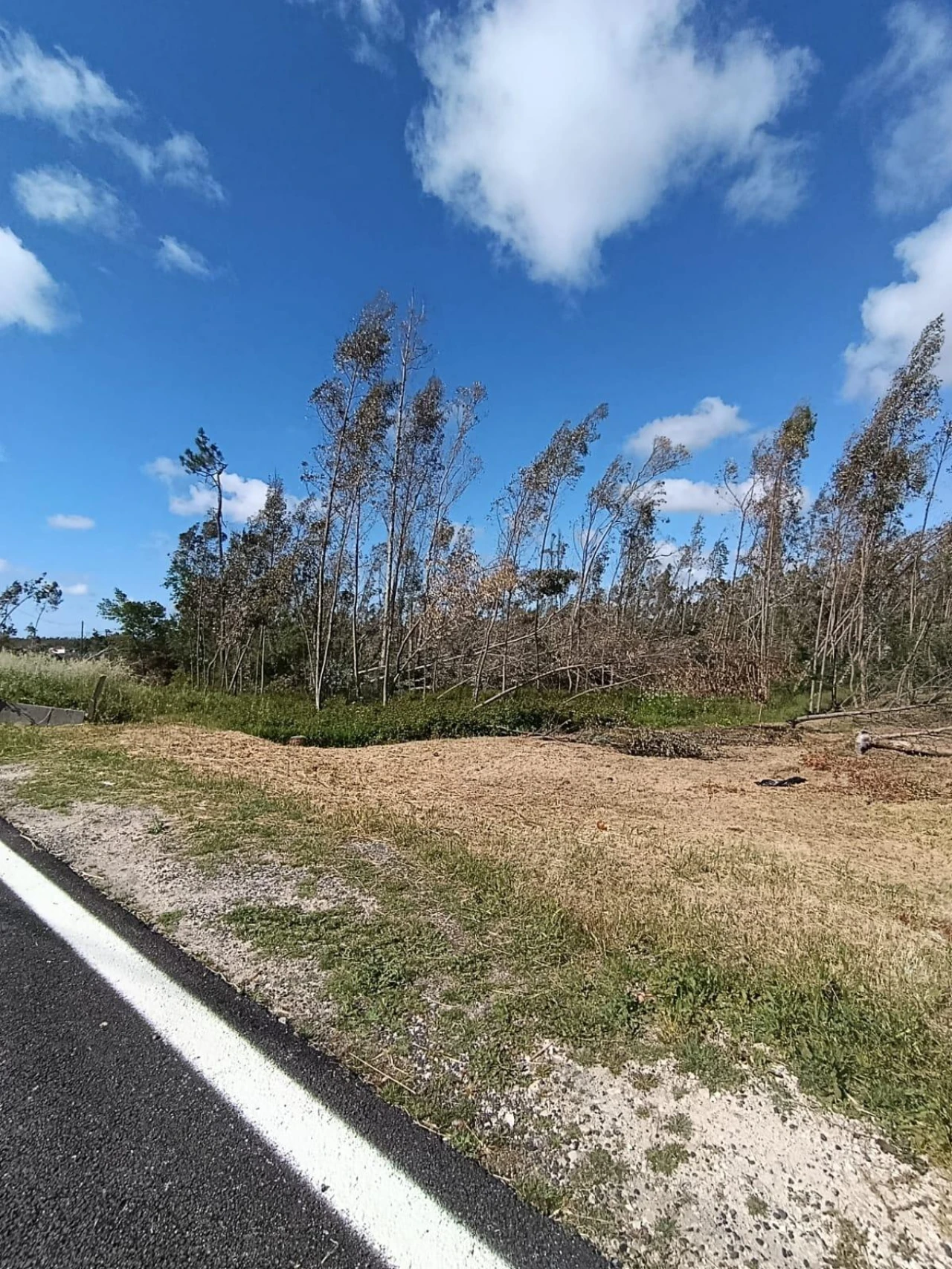 Terreno para Venda em Marinha Grande Foto 1