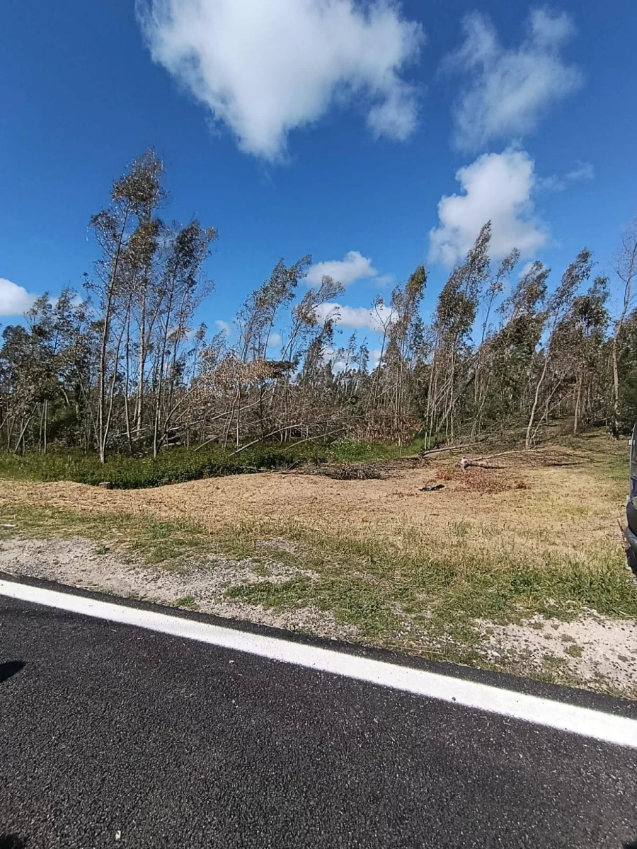 Terreno para Venda em Marinha Grande Foto 3