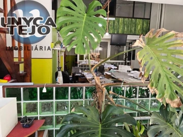 Negócio para Venda em Laranjeiro e Feijó