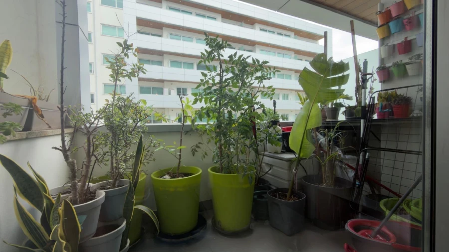 Apartamento T2 para Venda em Glória e Vera Cruz Foto 12