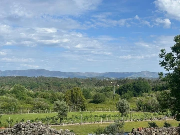 Moradia T3 para Venda em Ribafeita