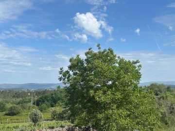 Moradia T3 para Venda em Ribafeita