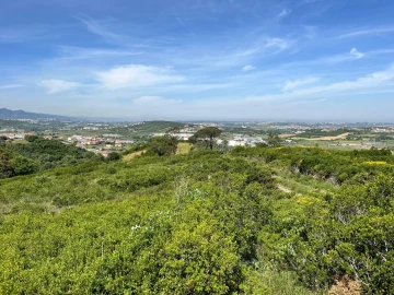 Terreno para Venda em Agualva e Mira-Sintra