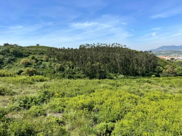 Terreno para Venda em Agualva e Mira-Sintra