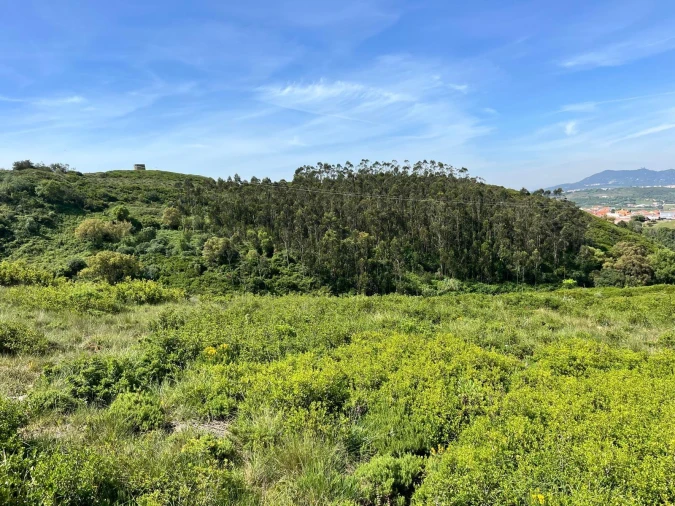 Terreno para Venda em Agualva e Mira-Sintra Foto 2