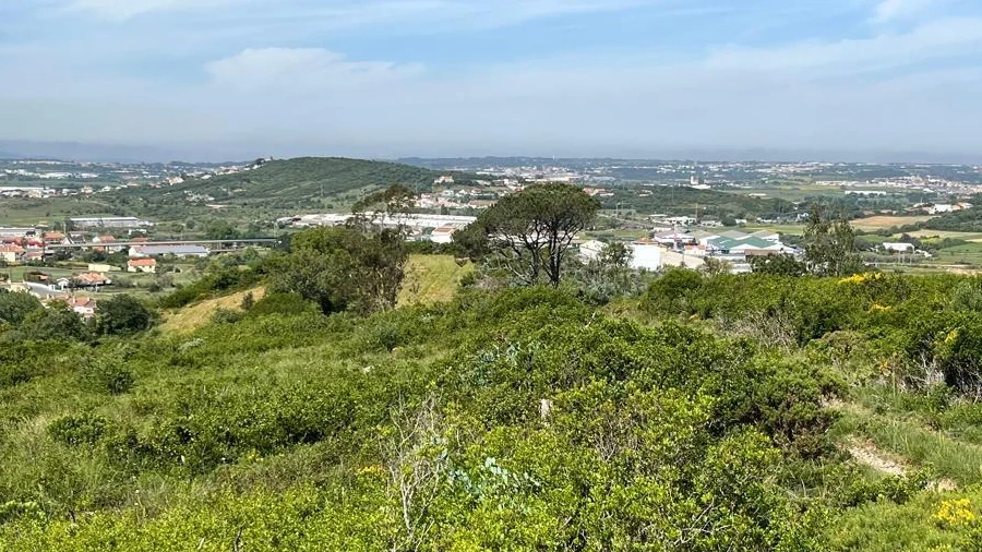 Terreno para Venda em Agualva e Mira-Sintra