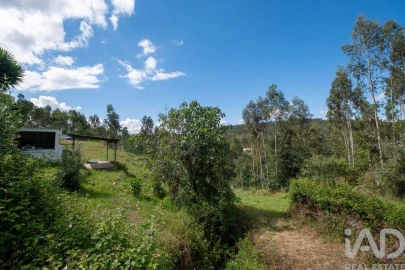 Quinta T3 para Venda em Maçãs de D. Maria