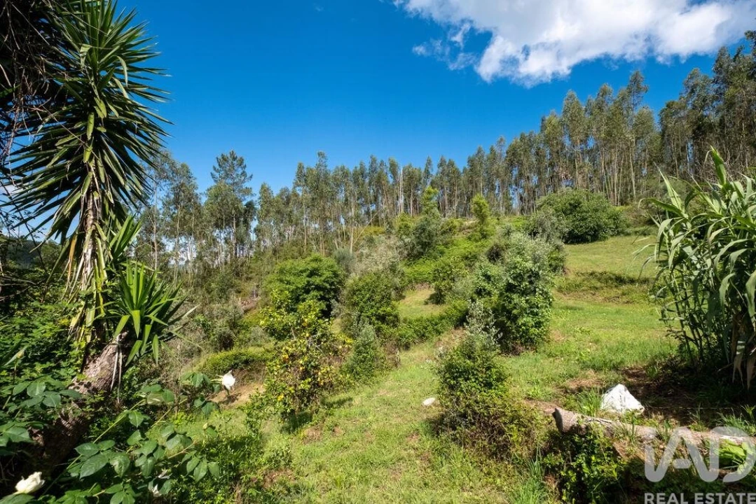Quinta T3 para Venda em Maçãs de D. Maria Foto 30