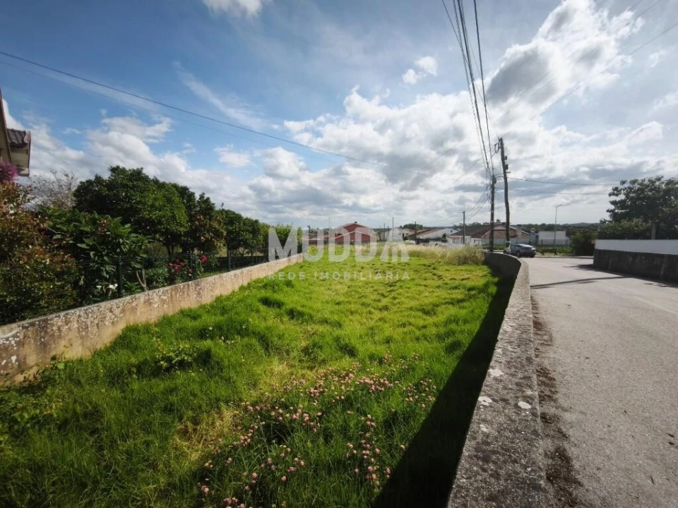 Terreno para Venda em Salreu Foto 4
