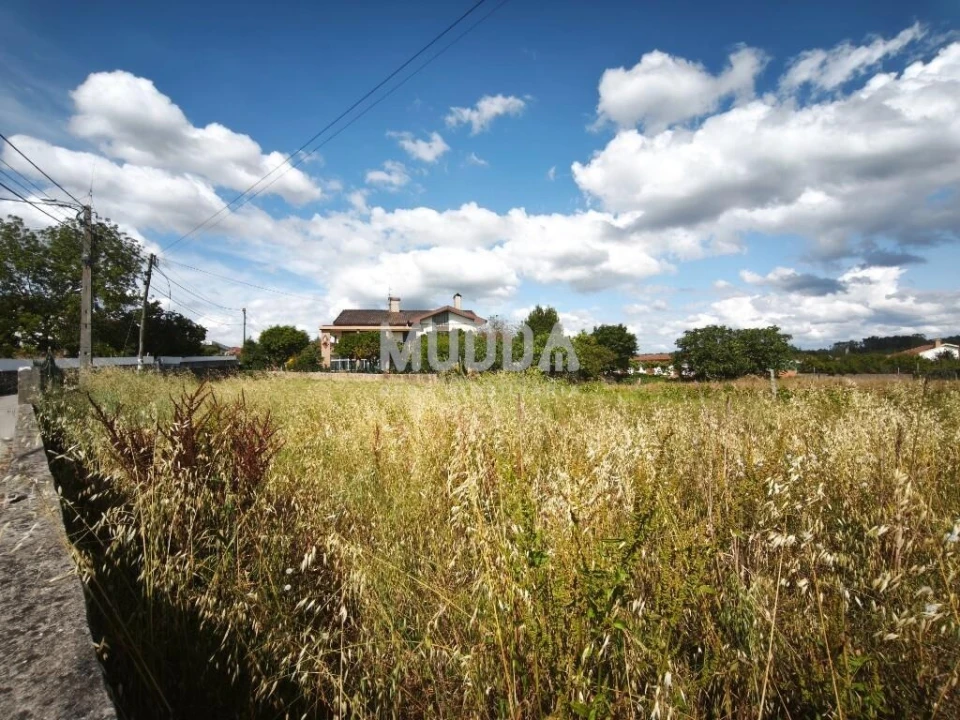 Terreno para Venda em Salreu Foto 5