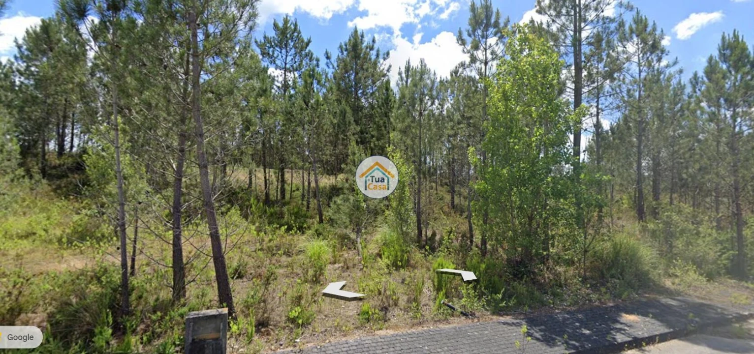 Terreno para Venda em Pelariga Foto 2