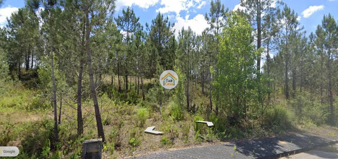 Terreno para Venda em Pelariga Foto 2