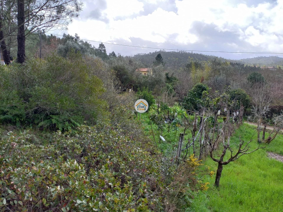 Terreno para Venda em Semide e Rio Vide Foto 12