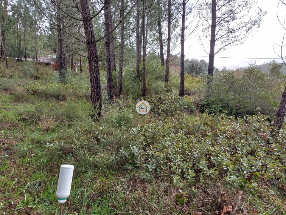 Terreno para Venda em Semide e Rio Vide Foto 7