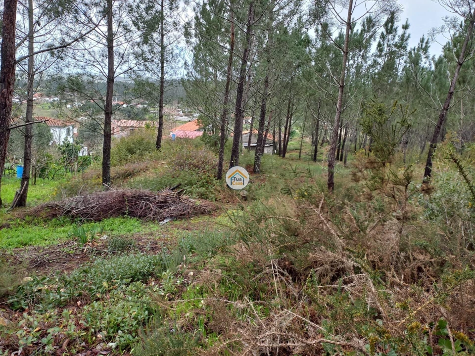 Terreno para Venda em Semide e Rio Vide Foto 2