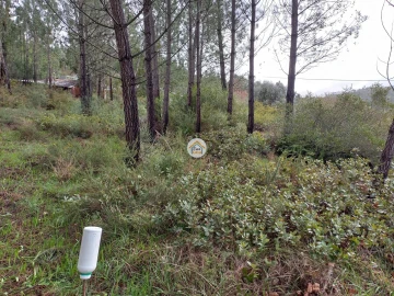 Terreno para Venda em Semide e Rio Vide