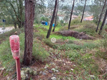 Terreno para Venda em Semide e Rio Vide