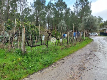 Terreno para Venda em Semide e Rio Vide