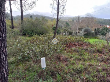 Terreno para Venda em Semide e Rio Vide