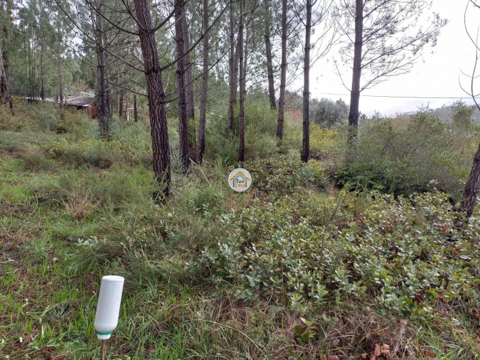Terreno para Venda em Semide e Rio Vide Foto 7