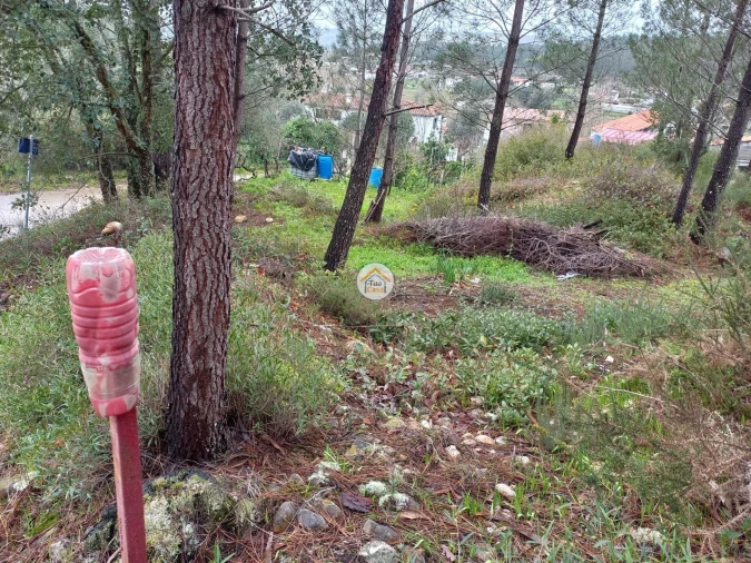 Terreno para Venda em Semide e Rio Vide Foto 3