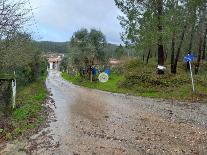 Terreno para Venda em Semide e Rio Vide Foto 5