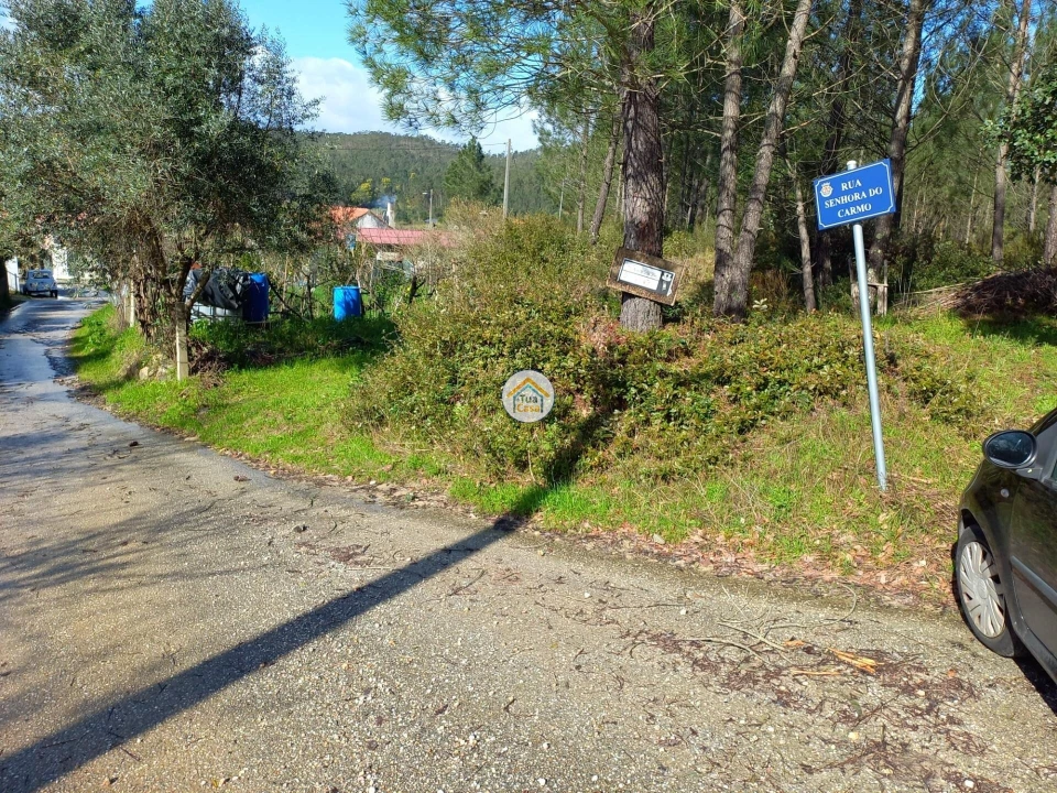 Terreno para Venda em Semide e Rio Vide Foto 11