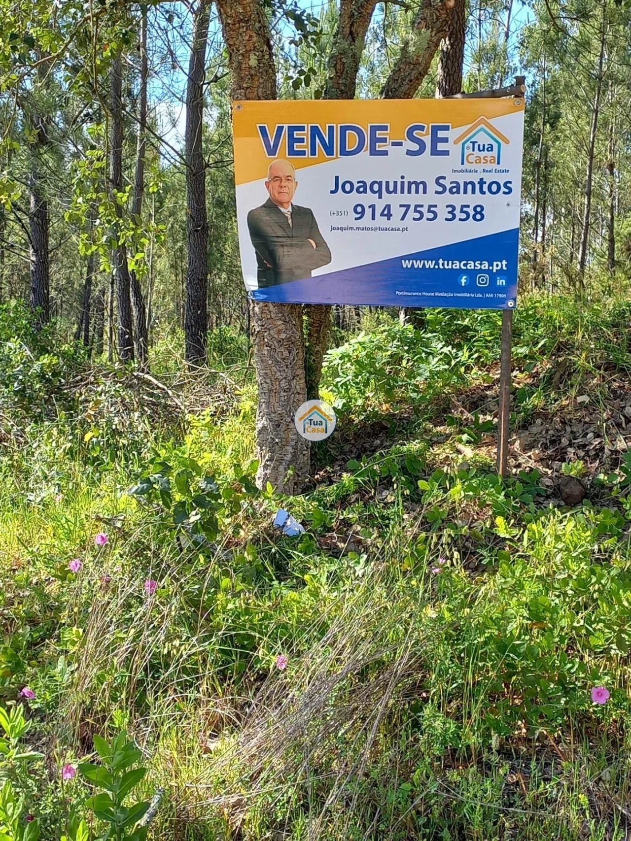 Terreno para Venda em Semide e Rio Vide Foto 13
