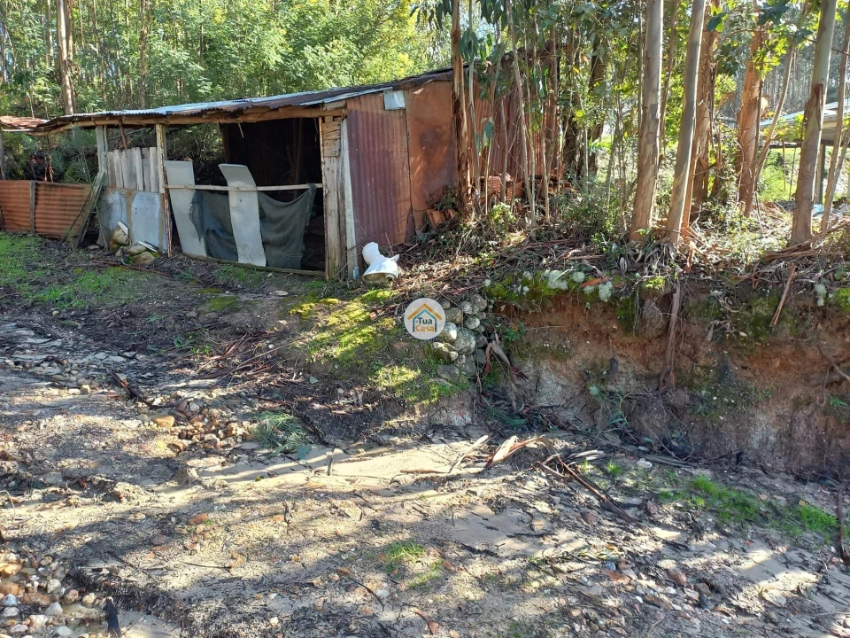 Terreno para Venda em Semide e Rio Vide Foto 10