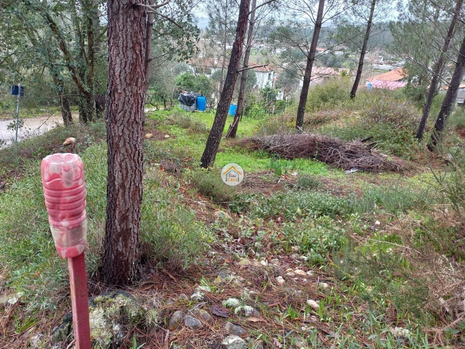 Terreno para Venda em Semide e Rio Vide Foto 3