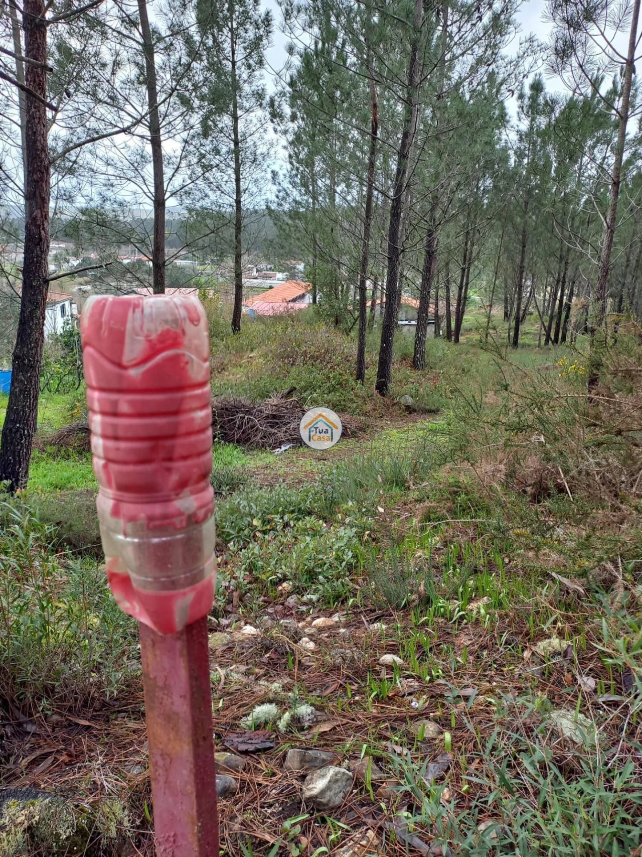 Terreno para Venda em Semide e Rio Vide Foto 4