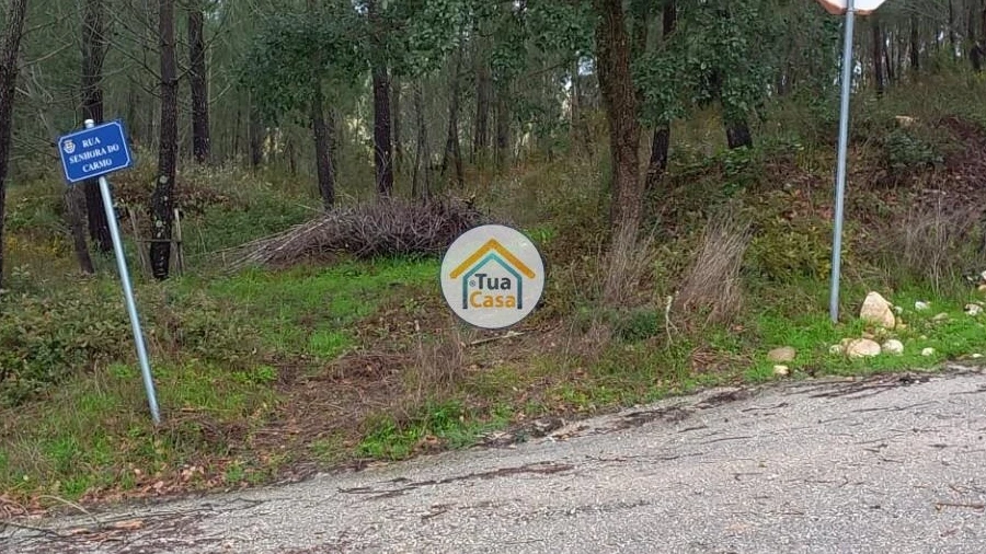 Terreno para Venda em Semide e Rio Vide