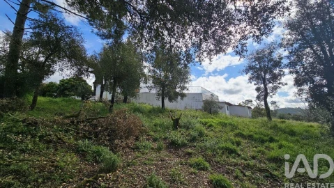 Moradia T5 para Venda em Maçãs de D. Maria