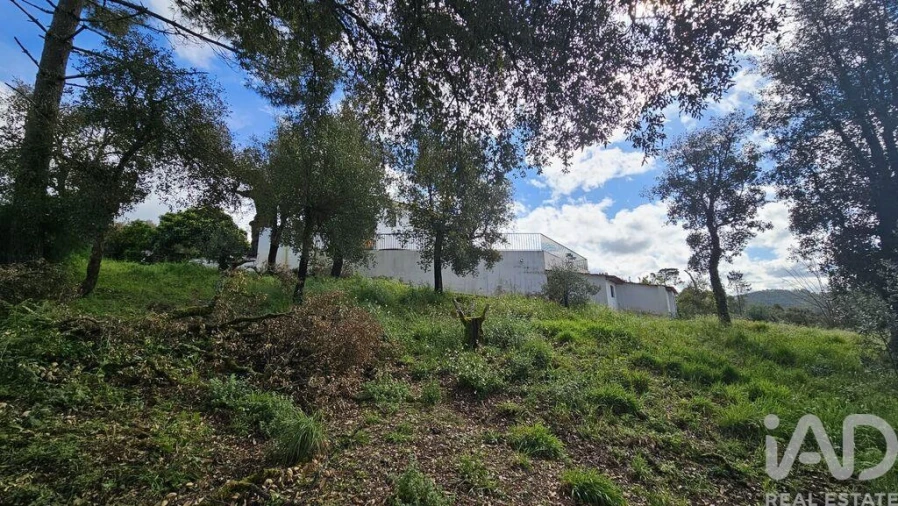 Moradia T5 para Venda em Maçãs de D. Maria Foto 30