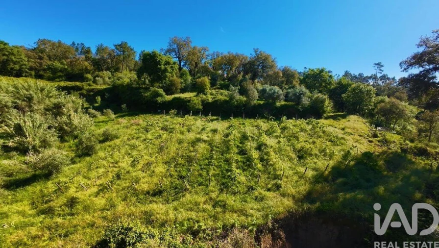 Moradia T5 para Venda em Maçãs de D. Maria Foto 35