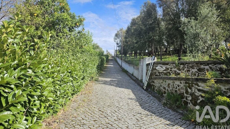 Moradia T5 para Venda em Maçãs de D. Maria Foto 37