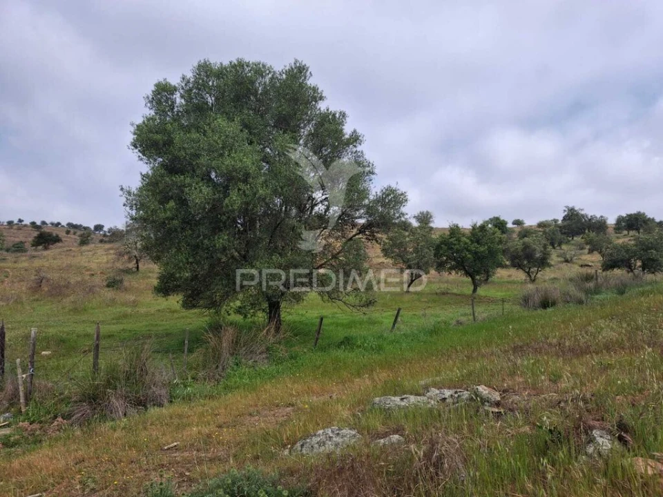 Terreno para Venda em Mertola Foto 16