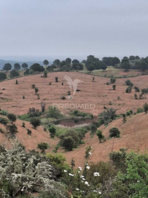 Terreno para Venda em Mertola